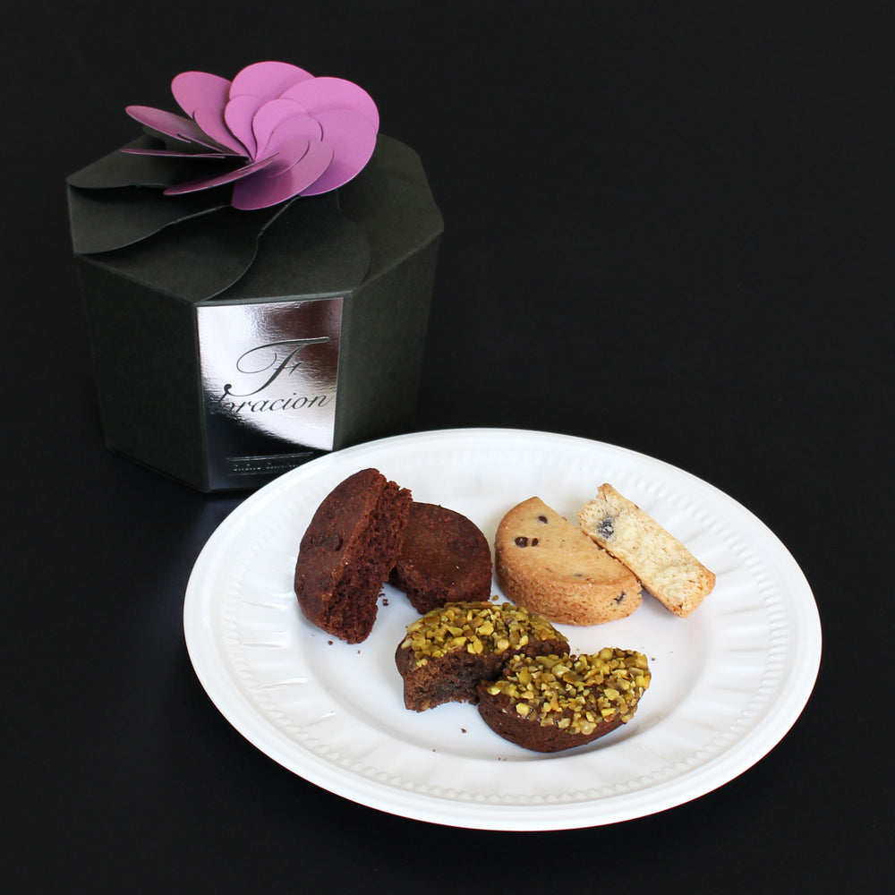 【NEW】プチ レガロ